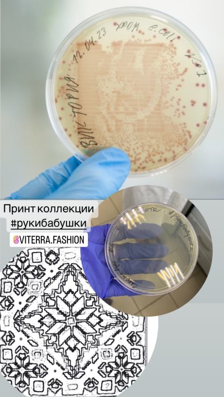 Чашки Петри с принтом коллекции и графический узор вышивки